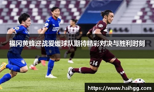 熊猫体育中国官网